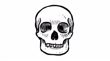 El çizimi kafatası döndürme el çizimi döngü animasyonu