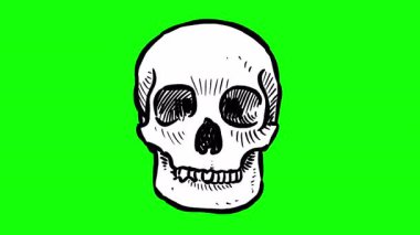Yeşil zemin üzerinde el çizimi kafatası döndürme 2d döngü animasyonu