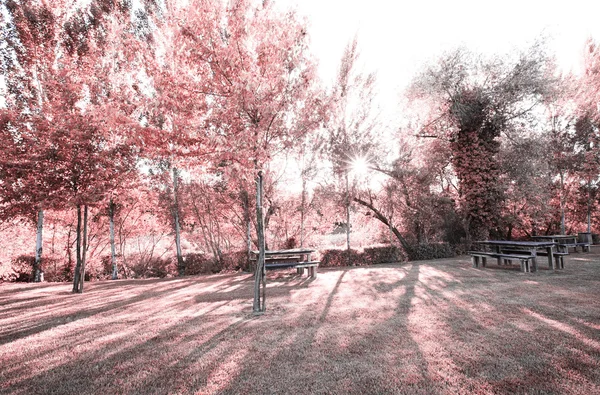 pateira de fermentelos Park