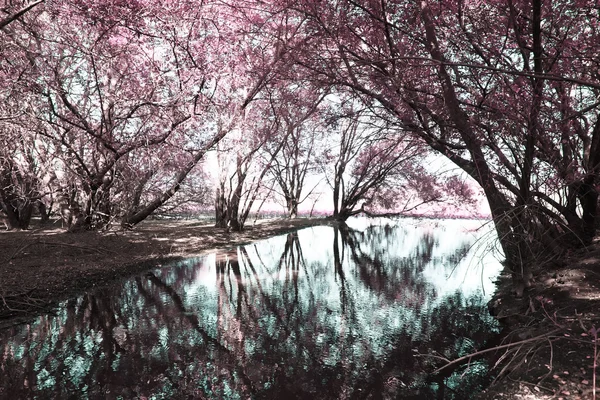 pateira de fermentelos Park