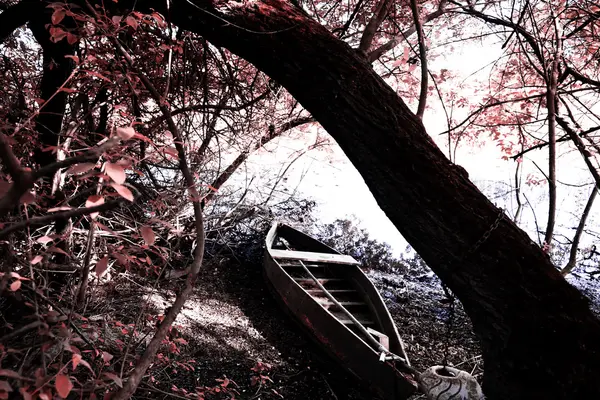 pateira de fermentelos Park