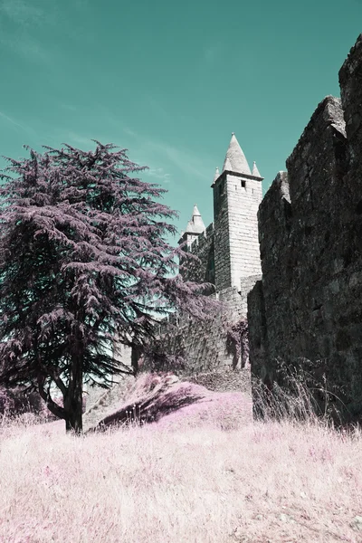 pateira de fermentelos Park