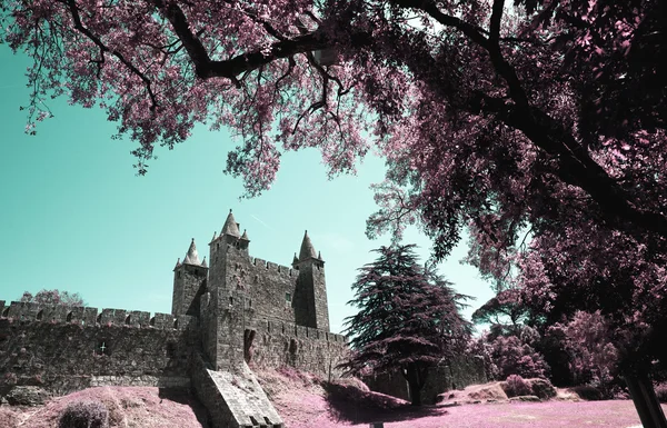 pateira de fermentelos Park