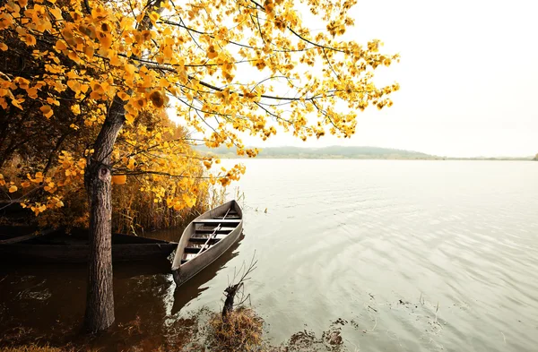 pateira de fermentelos Park