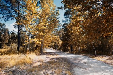 pateira de fermentelos Park