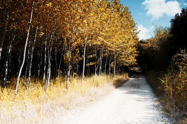 pateira de fermentelos Park