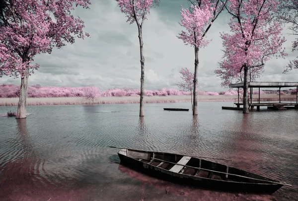 pateira de fermentelos Park