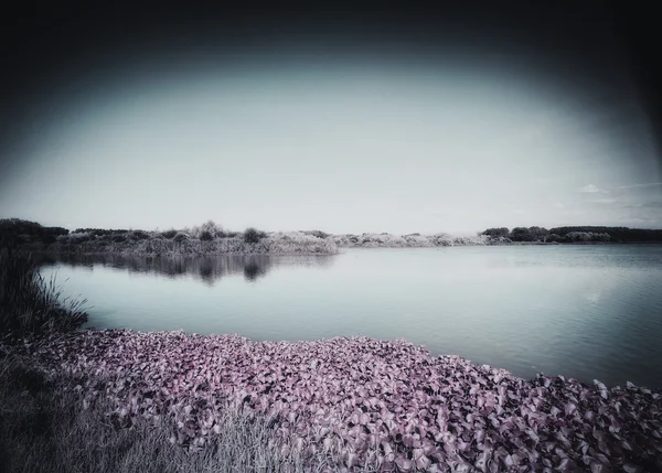 pateira de fermentelos Park