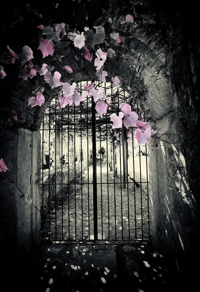 pateira de fermentelos Park