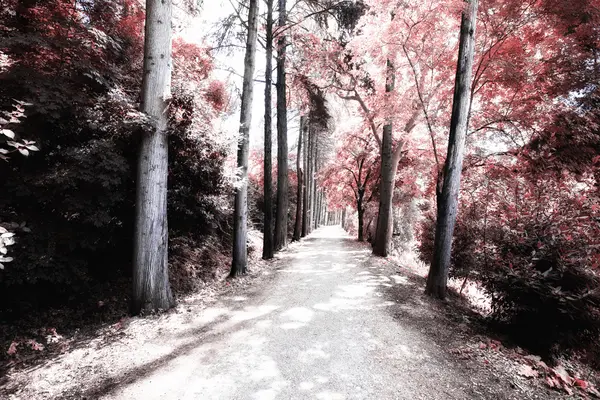 pateira de fermentelos Park