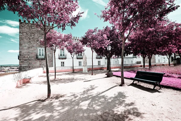 pateira de fermentelos Park