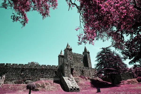 pateira de fermentelos Park