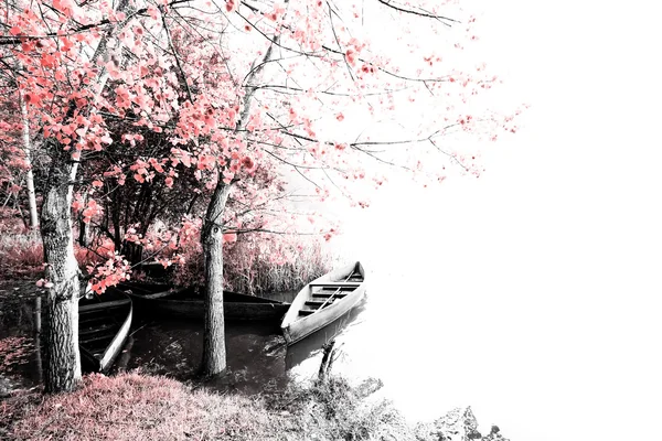 pateira de fermentelos Park