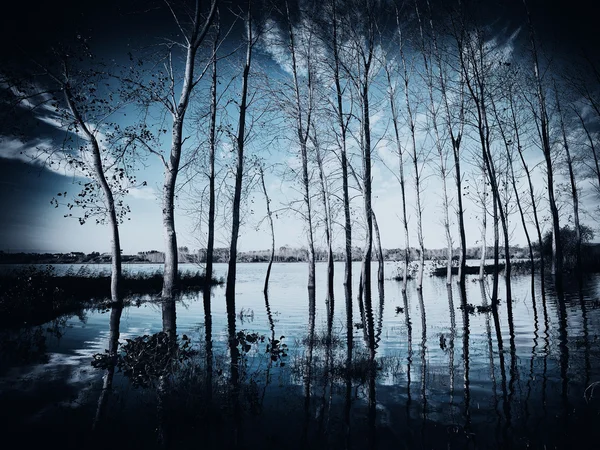 pateira de fermentelos Park