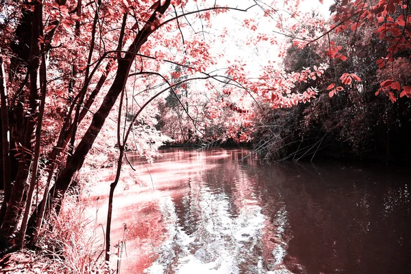 pateira de fermentelos Park