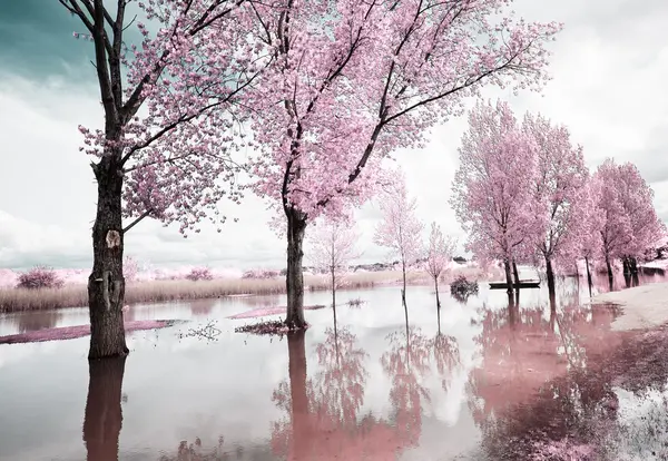 pateira de fermentelos Park