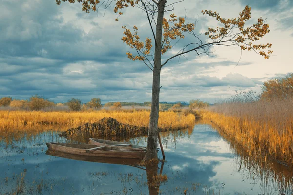 pateira de fermentelos Park