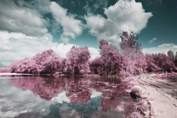 pateira de fermentelos Park