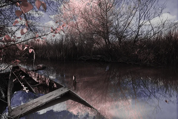 pateira de fermentelos Park