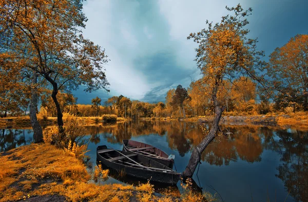 Parque da Pateira de Fermentelos Imagem De Stock