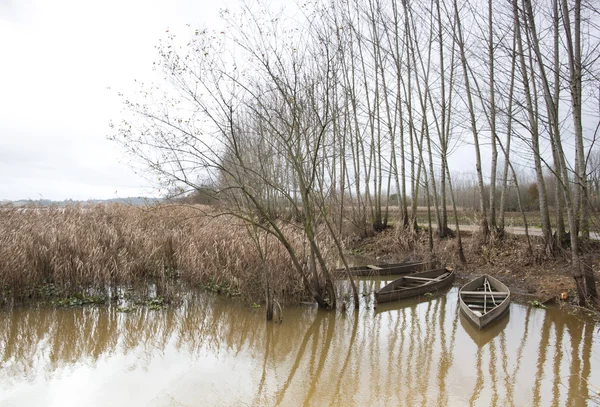 pateira de fermentelos Park