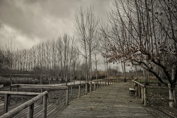 pateira de fermentelos Park