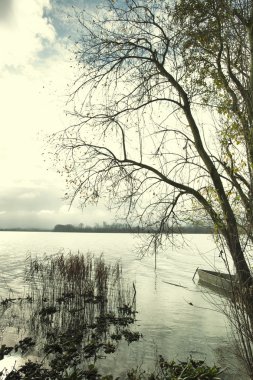 pateira de fermentelos Park