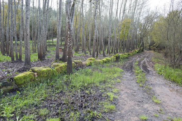 pateira de fermentelos Park