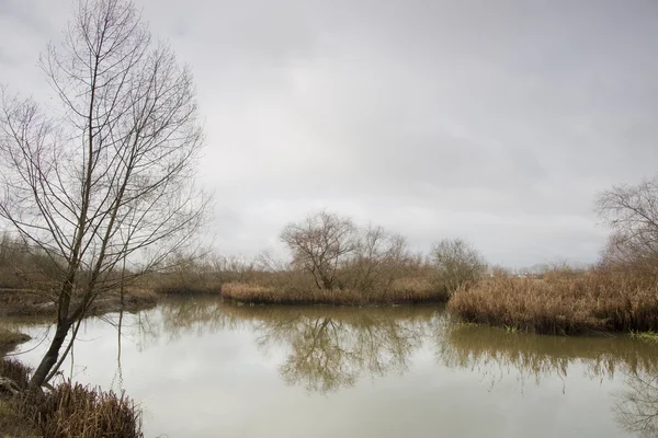 pateira de fermentelos Park