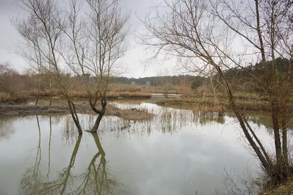 pateira de fermentelos Park