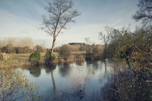 pateira de fermentelos Park