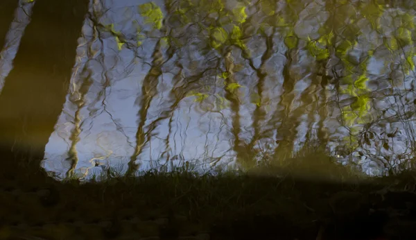 pateira de fermentelos Park