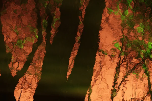 pateira de fermentelos Park