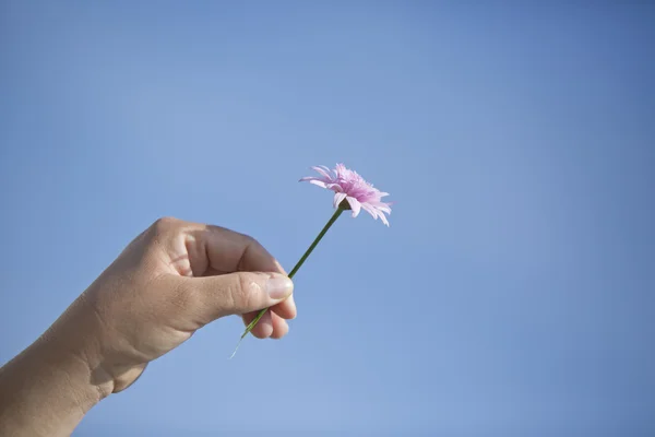 pateira de fermentelos Park