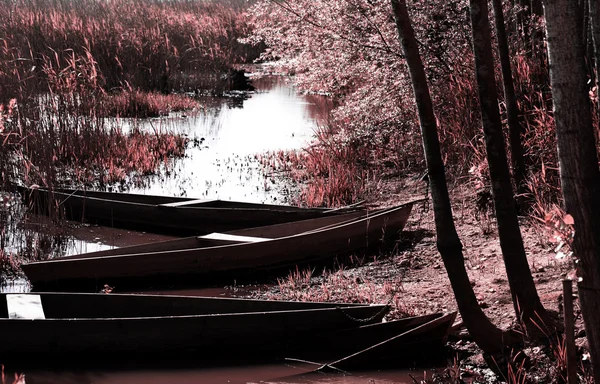 pateira de fermentelos Park