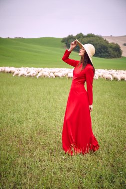 Göz alıcı zarif kadın trendy Kırmızı elbiseli. Arka planda koyun sürüsü