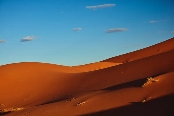 Homokdűnék a Szahara sivatagban, Merzouga, Marokkó — Stock Fotó
