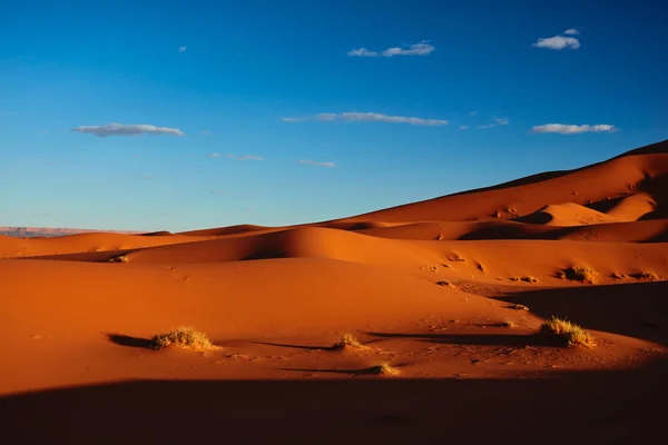Піщані дюни пустелі Сахара (Мерзуґа, Марокко). — стокове фото