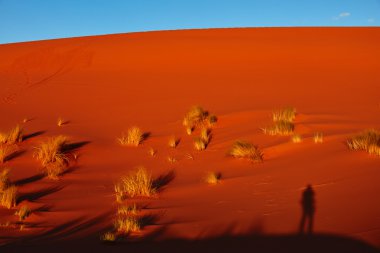 Sahra Çölü 'ndeki kum tepeleri, Merzouga, Fas