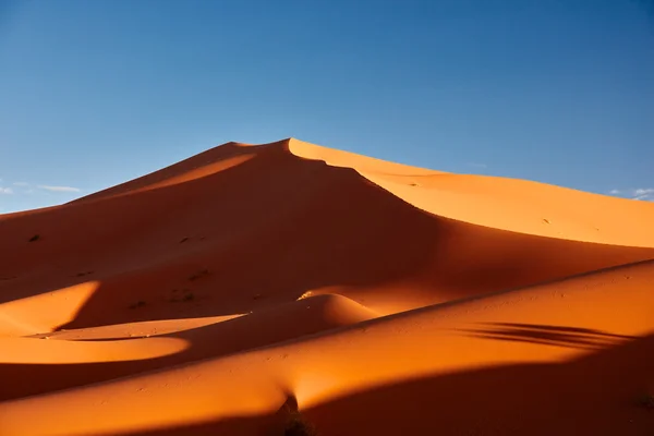 Homokdűnék a Szahara sivatagban, Merzouga, Marokkó — Stock Fotó