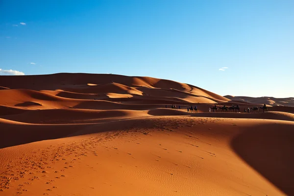 Dunas de arena en el desierto del Sahara, Merzouga, Marruecos Fotos De Stock Sin Royalties Gratis