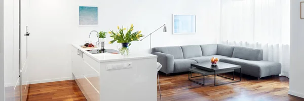 Modern Kitchen Living Room Scandinavian Interior — Stock Photo, Image