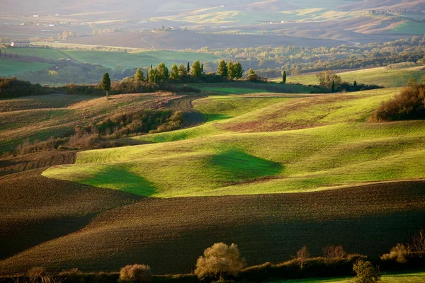 Campagna Toscana, Paesaggio italiano — Foto Stock