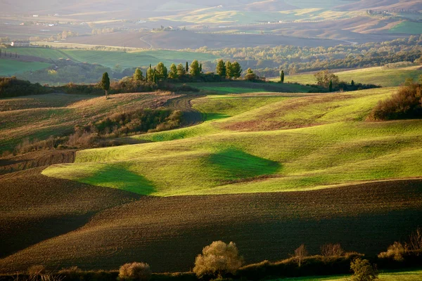 Campo Toscano, Paisagem italiana — Fotografia de Stock