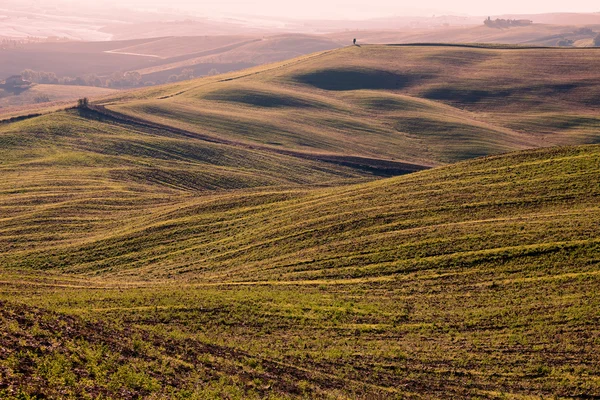 Campo Toscano, Paisagem italiana — Fotografia de Stock