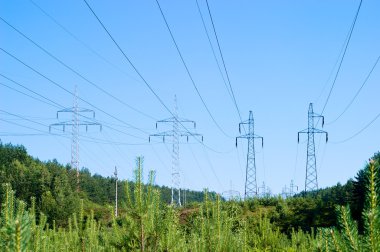 Sütun ve iletim güç hattı