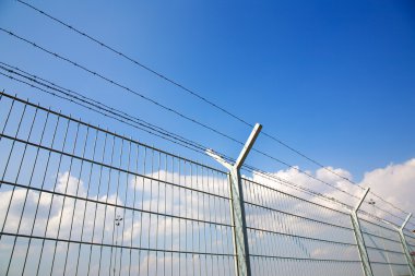 Champ de maïs à la récolte