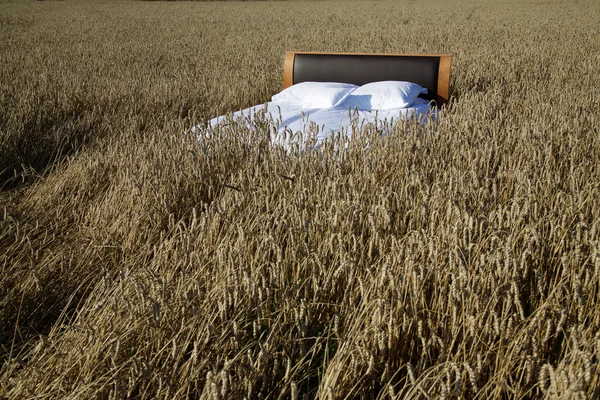 Bed in a grain field - concept of good sleep — Stock Photo © arturnyk1 ...