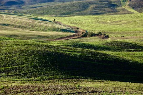 Campagna Toscana, Paesaggio italiano — Foto Stock