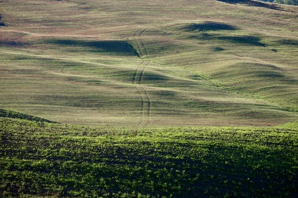 Campo Toscano, Paisagem italiana — Fotografia de Stock